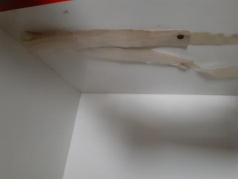 Original Obiekt cyfrowy not accessible