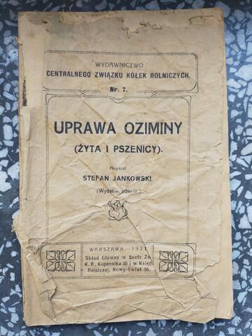 Original Obiekt cyfrowy not accessible