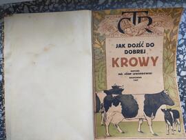 Jak dojść do dobrej krowy [książka]