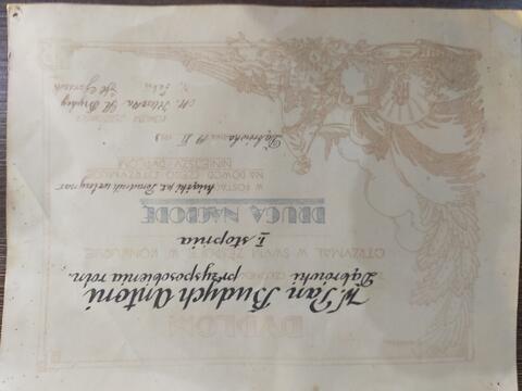 Original Obiekt cyfrowy not accessible