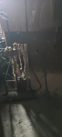 Original Obiekt cyfrowy not accessible