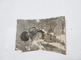 Pocztówka na fotokopii