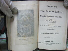 P.C.G. Rosignoli, Erbarmet euch der armen Seelen im Fegfeuer! Wunderbare Ereignisse aus dem Jenseits, Padeborn 1897