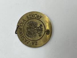 Medal za zasługi dla szkoły