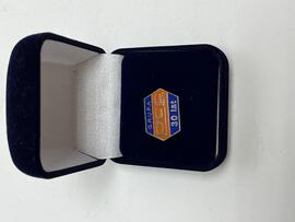 Odznaka PCC Rokita