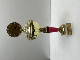 Puchar brydżowy
