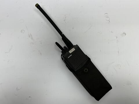 Original Obiekt cyfrowy not accessible