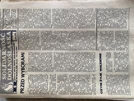Solidarność Dolnośląska, 13.06.1981, nr 24/38