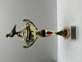 Puchar PZHGP